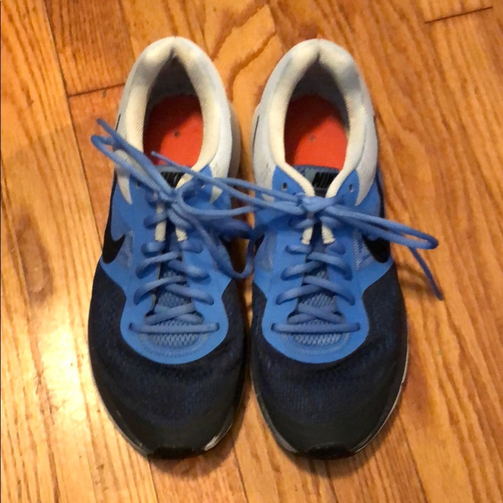 Nike Pegasus (blue)